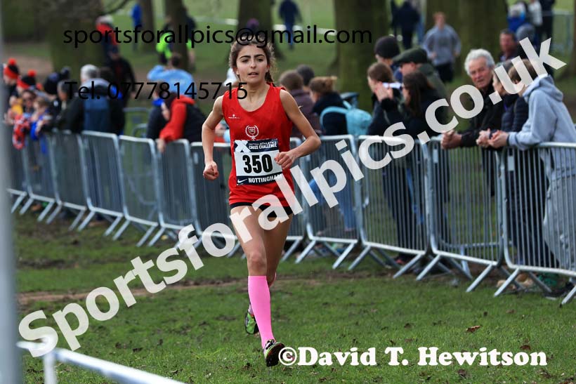 Girls Under-13s, 2024 CAU Inter Counties Cross Country Champs., Wollaton Park, Nottingham. Photo: David T. Hewitson/Sports for All Pics
